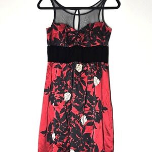 Plenty Silk Mini Dress Rose Floral Mesh Velvet Goth Dark Feminine Size 2